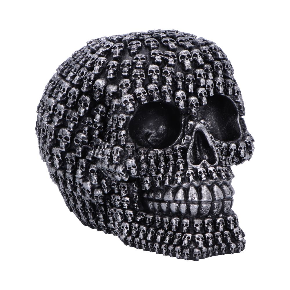 Crania 15cm