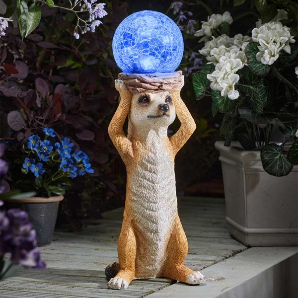 Colour changing Mystik Meerkat