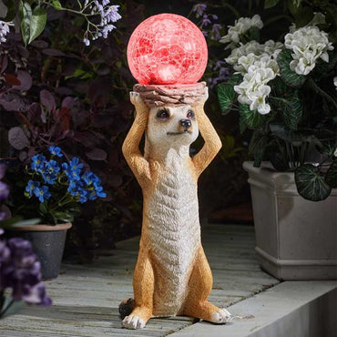 Colour changing Mystik Meerkat