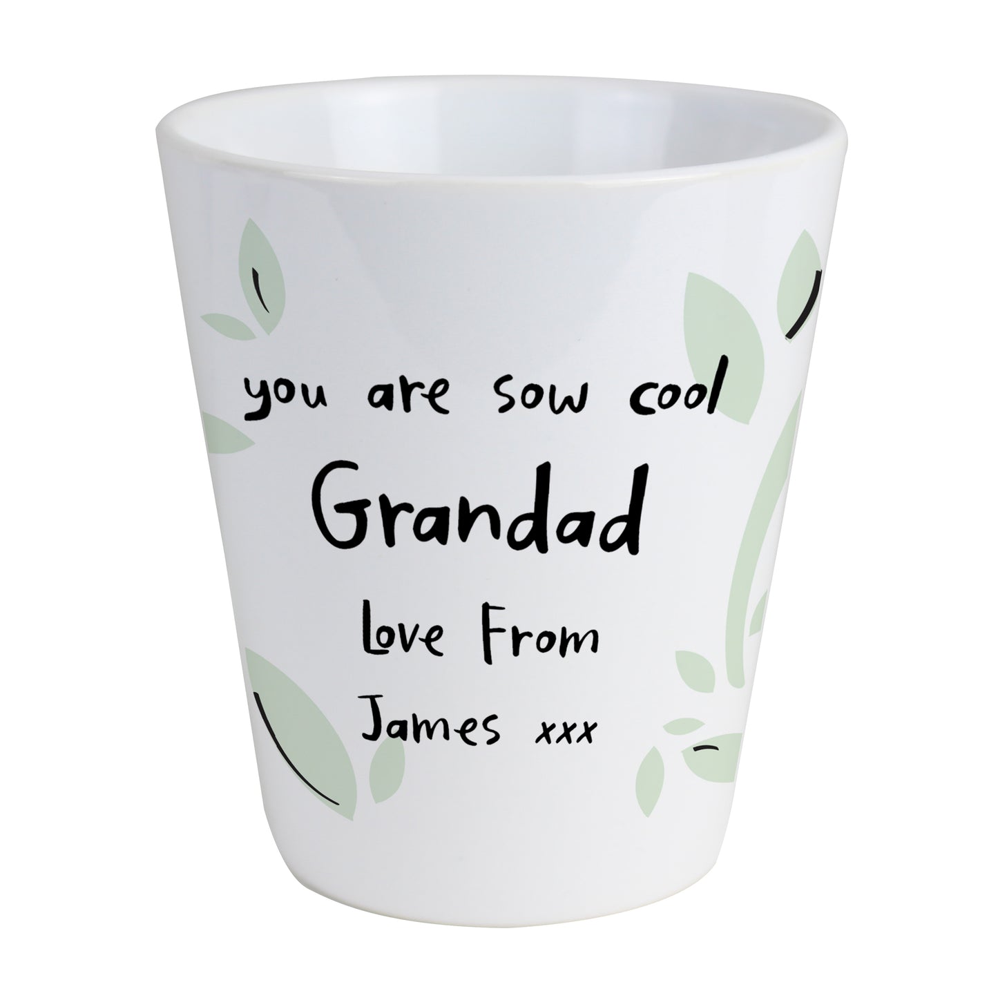 Personalised Free Text Botanical Plant Pot