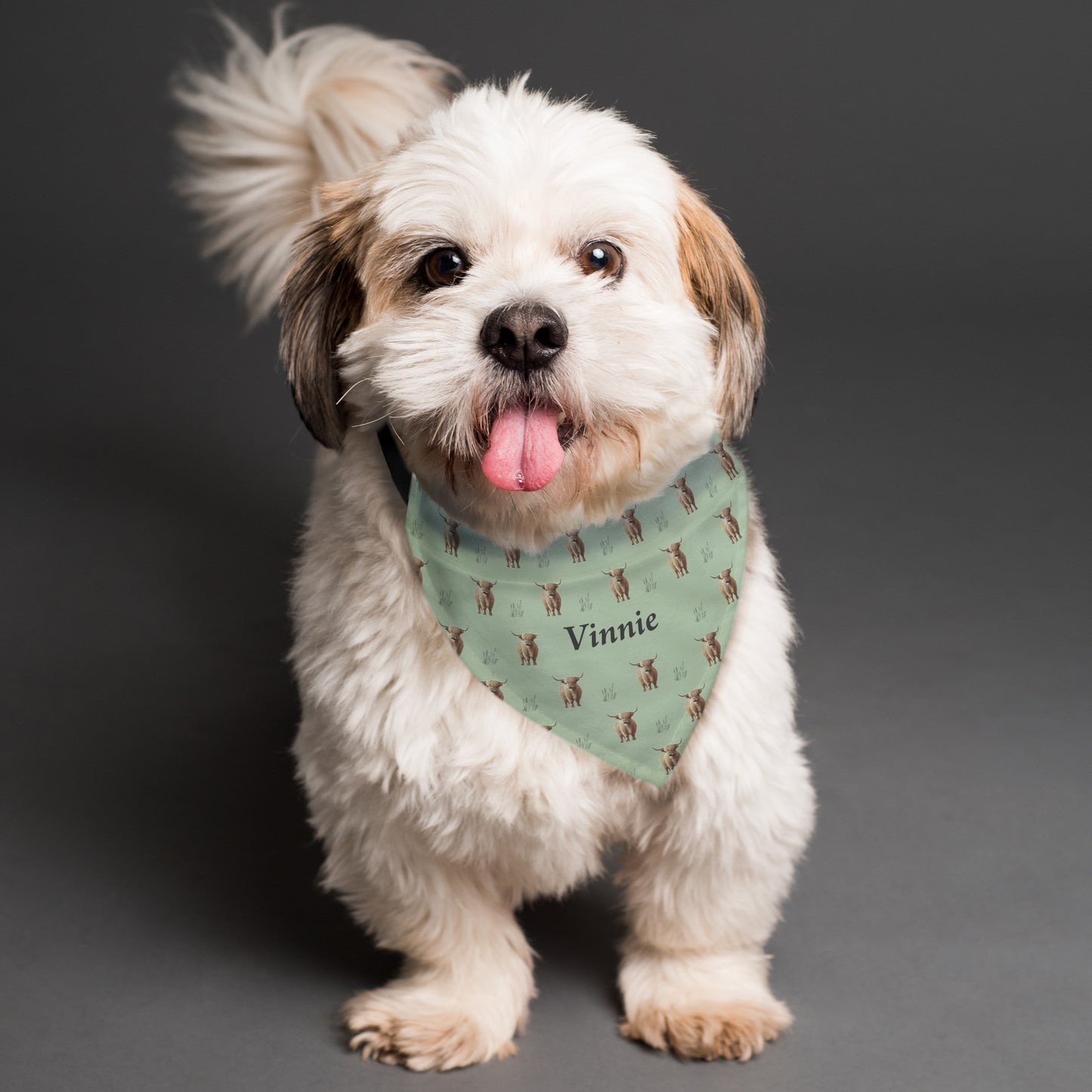 Personalised Highland Cow Dog Bandana