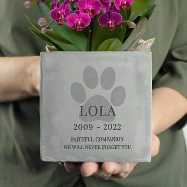 Personalised Pet Memorial Concrete Plant Pot
