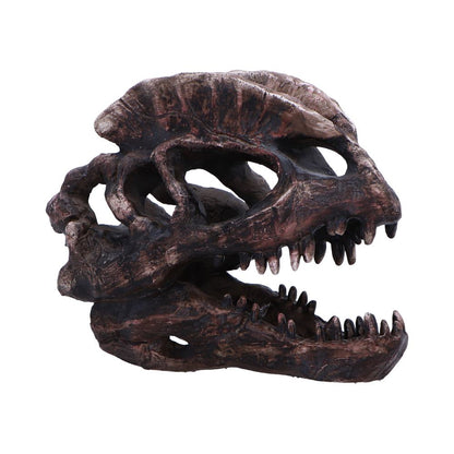 Dilophosaurus Skull 16cm