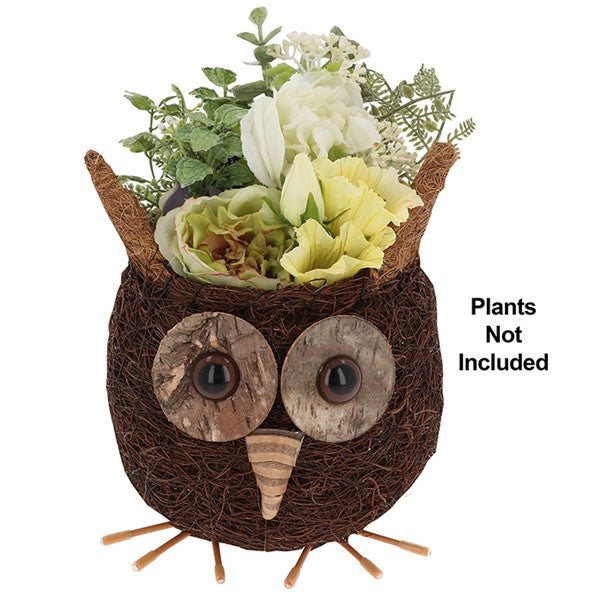 Cute Coir Planter Owl Large