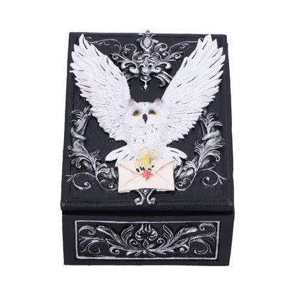 Owl Messenger Box 14cm