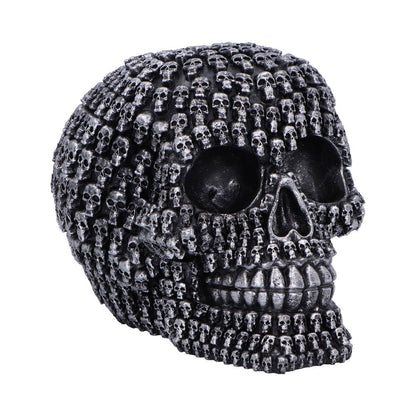 Crania 15cm