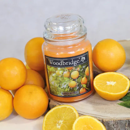 Orange Grove  Large Scented Candle Jar